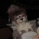 BearSeierraVR