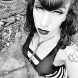 dom_lioness