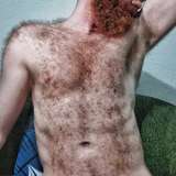 gingerpubesfree