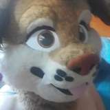 smoresdogg