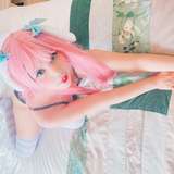 waifugummy