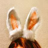yourbelovedbunny