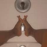 toes.natalia