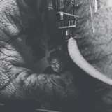 spphoto