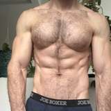 hung-adonis