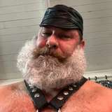 bigburlybears