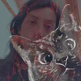 redcat_cola