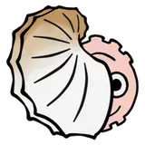 aoigai
