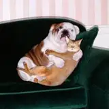 bigsofttitty