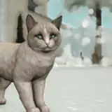 BunsBunss