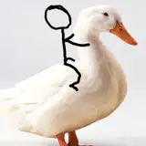 Ambiguous_Duck