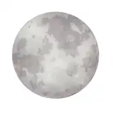 Hs_Mollu