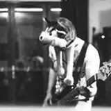 Husky By The Geek
