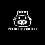 Pig brain overload