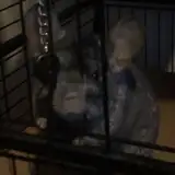 Nakkerino