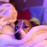 Trey Blanford