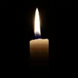realmns
