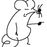 shiroinezumi