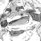 shintatokoro