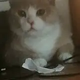 VoidBlood